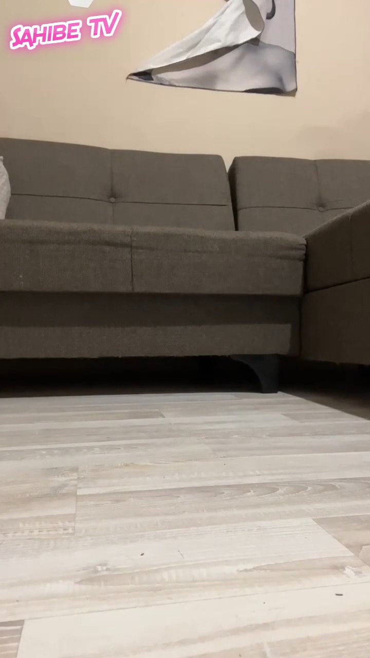 Aptal köpek